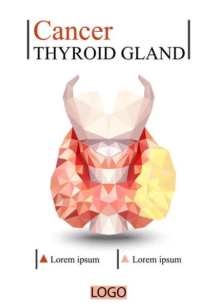 Glándula Tiroidea Realista Poli Baja Tiroides Humana Glándula Laringe Istmo — Vector de stock