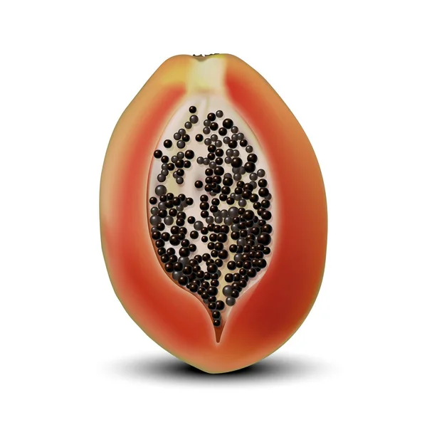 Papaya Realista Ilustración Detallada Aislado Blanco Elemento Diseño Para Embalaje — Vector de stock