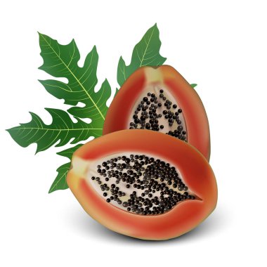 Yaprak ile gerçekçi 3d Papaya. 3d illüstrasyon izole beyaz üzerinde ayrıntılı. Öğe için Web tasarım veya ambalaj baskı. Vektör çizim.