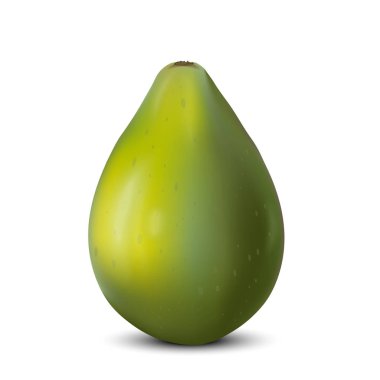 Gerçekçi 3d Yeşil taze Papaya. 3d illüstrasyon izole beyaz üzerinde ayrıntılı. Öğe için Web tasarım veya ambalaj baskı. Vektör çizim. 