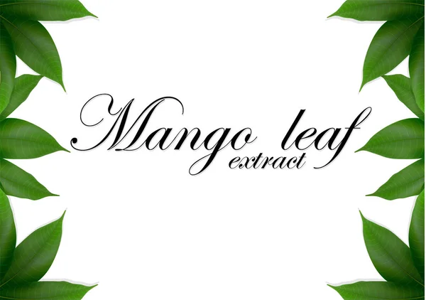 Mango Deja Fondo Para Banner Celebración Día Fiesta Embalaje Cartel — Vector de stock