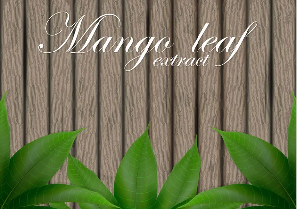 Mango Pozostawia Tło Transparent Uroczystości Wakacje Opakowania Plakat Mango Pozostawia — Wektor stockowy