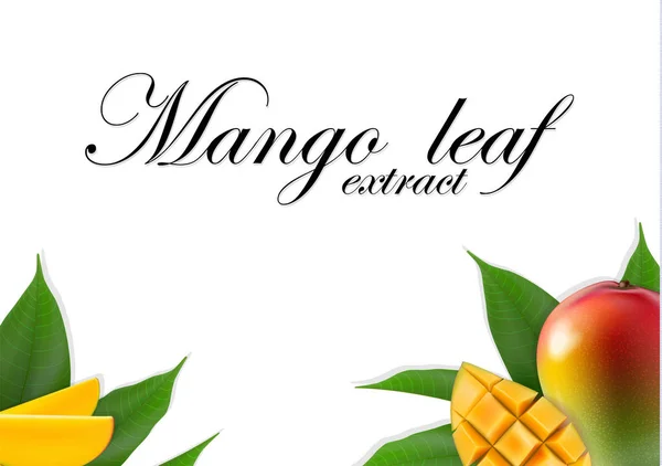 Mango Deja Fondo Aislado Blanco Mango Realista Bueno Para Pancarta — Vector de stock