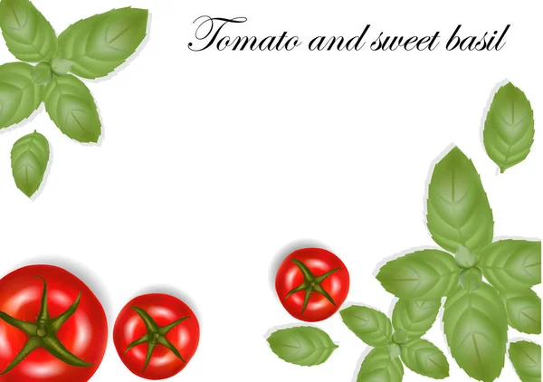 逼真的西红柿和罗勒叶 良好的 Web 和打印设计 向量例证 — 图库矢量图片