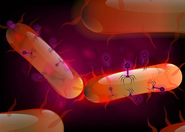 Bakteriofág Támadó Cellahátteret Kultúra Tüskék Dns Farok Baktérium Vírus Mikrobiológiai — Stock Vector