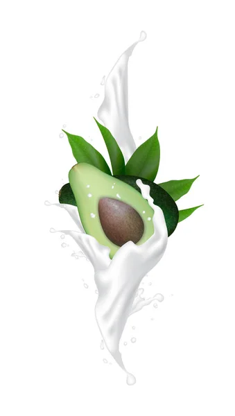 Avokado gerçekçi 3d meyve sıçramasına ile. — Stok Vektör