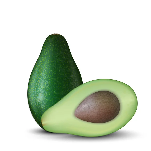 Realistische 3d illustratie van gesneden groene avocado fruit. Kleur — Stockvector