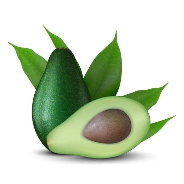 Ilustrasi 3d Realistik dari irisan buah alpukat hijau. Warnanya - Stok Vektor