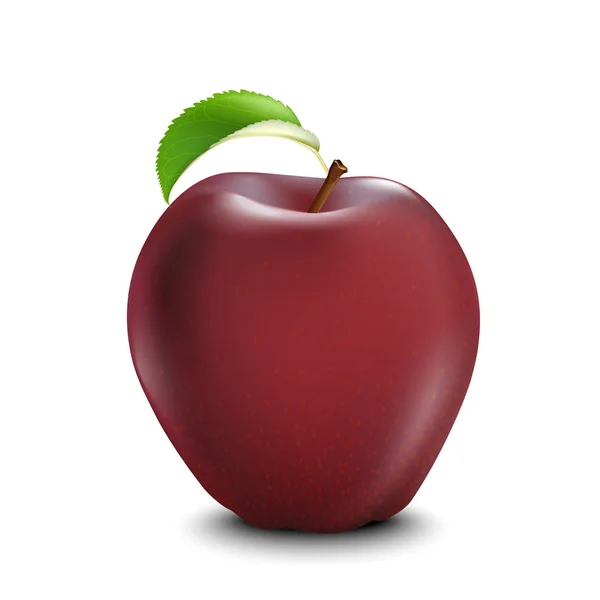 Röd realistisk äpple. Realistiska 3D-äpplen. Detaljerad 3D ILLUSTRATI — Stock vektor