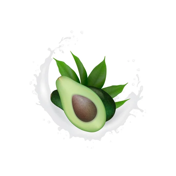 Gerçekçi Taze Yeşil avokado meyve yoğurt sıçrama. Avokado Yarım — Stok Vektör