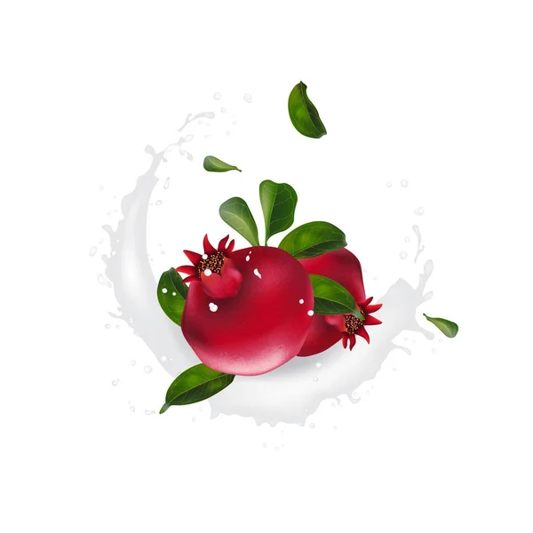 Granatapfelmilch-Joghurt-Werbung mit Spritzer. gut für die Verpackung, — Stockvektor