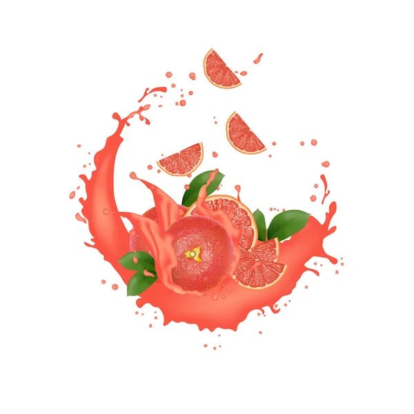 Juice milk yogurt grapefruit slices splashing. Juicy grapefruit — Stock Vector