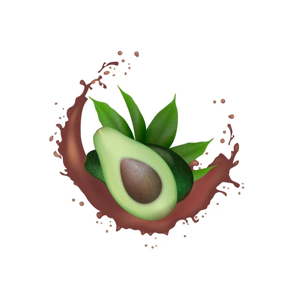 Salpicadura de cacao de fruta de aguacate verde fresco realista. Mitad aguacate — Archivo Imágenes Vectoriales