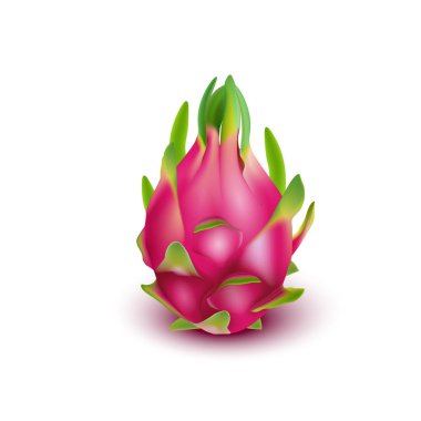 Kırmızı ejderha meyvesi, bütün meyve ve yarısı. Iyileşmek için tropikal meyveler