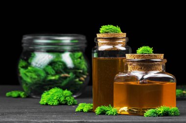 Kuru rahatsız edici boğaz öksürük için ev yapımı çam öksürük şurubu. Yeşil genç Çam tomurcukları ve bal yapılmış. Alternatif Tıp kavramı siyah ahşap masa (seçici odak üzerinde).