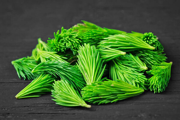 Fresh pine buds for syrup on black wooden table (selective focus).