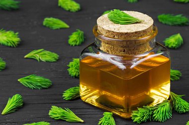 Kuru rahatsız edici boğaz öksürük için ev yapımı çam öksürük şurubu. Yeşil genç Çam tomurcukları ve bal yapılmış. Alternatif Tıp kavramı siyah ahşap masa (seçici odak üzerinde).