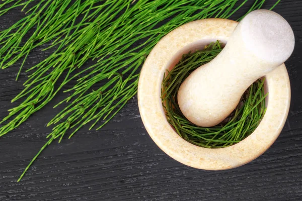 Harç Equisetum Kuyruğu Herb Alternatif Tıp Kavramı Siyah Ahşap Masa — Stok fotoğraf