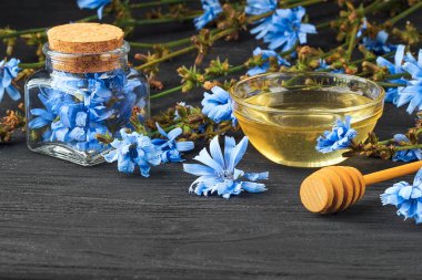 Hindiba (Cichorium intybus) bitki şişe. Alternatif Tıp kavramı siyah ahşap masa (seçici odak üzerinde).