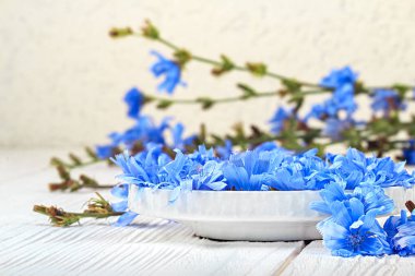 Bir kase hindiba (Cichorium intybus) herb. Beyaz ahşap masa (seçici odak üzerinde alternatif tıp kavramı).