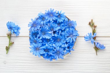 Bir kase hindiba (Cichorium intybus) herb. Beyaz ahşap bir masa üstten görünüm (seçici odak üzerinde alternatif tıp kavramı).