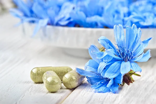 Pastillas Achicoria Cichorium Intybus Flores Concepto Medicina Alternativa Una Mesa —  Fotos de Stock