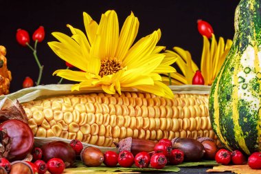 Sonbahar natürmort pumpkins, mısır koçanı, meşe palamutları, çam kozalakları, çilek, kestane ve yapraklarda siyah ahşap arka plan (seçici odak ile).