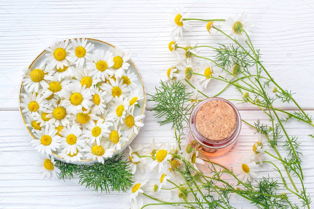 Essential oil in glass bottle with fresh chamomile flowers, top view. Alternative medicine concept on a white wooden table (selective focus).