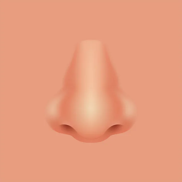 Нос — стоковый вектор