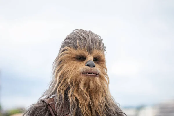 Cannes Francia Mayo 2018 Chewbacca Asiste Fotoconvocatoria Solo Una Historia — Foto de Stock