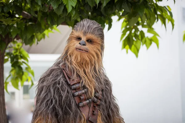 Cannes France May 2018 Chewbacca Attends Photocall Solo Star Wars — Stock Photo, Image