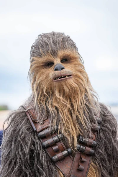 Cannes France May 2018 Chewbacca Attends Photocall Solo Star Wars — Stock Photo, Image