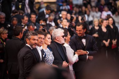 Cannes, Fransa - 17 Mayıs 2019: Leonardo Sbaraglia, Asier Etxeandia, Antonio Banderas, Penelope Cruz, Yönetmen Pedro Almodovar ve Nora Navas 72.