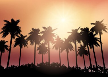 Gün batımı gökyüzü karşı palmiye ağaçlarının silhouettes