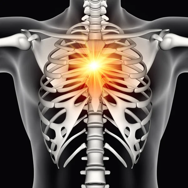 Render Male Medical Figure Chest Bone Highlighted — Stock Photo, Image