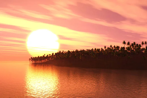 Render Palm Tree Island Sunset — Stock Photo, Image