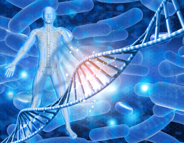 3D медицинский фон с мужской фигурой со скелетом и нитями ДНК
