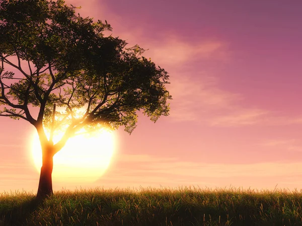 Darstellung Eines Baumes Vor Einem Sonnenuntergang — Stockfoto