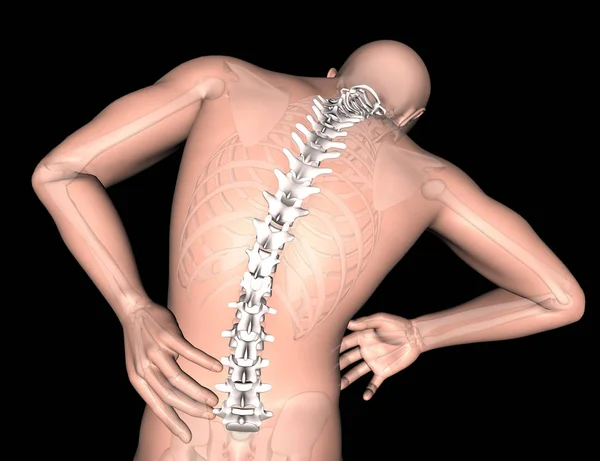 Render Male Medical Figure Spine Highlighted — Stock Photo, Image