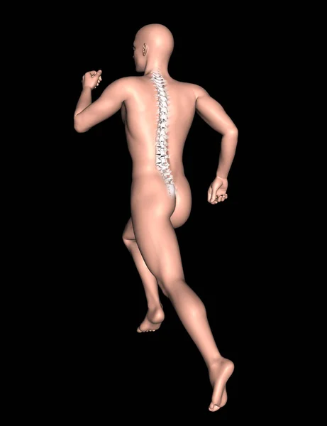 Rendering Una Figura Maschile Posa Esecuzione Con Colonna Vertebrale Evidenziata — Foto Stock