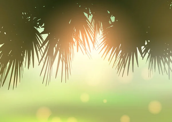 Feuilles de palmier sur fond clair bokeh — Image vectorielle