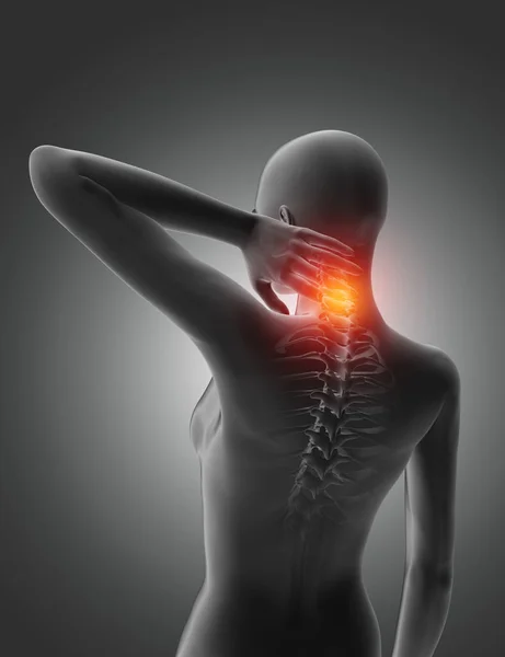 3D weibliche medizinische Figur mit Nacken- und Rückenknochen hervorgehoben — Stockfoto