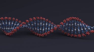 DNA Helix