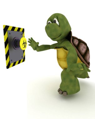 bir butona basarak tortoise