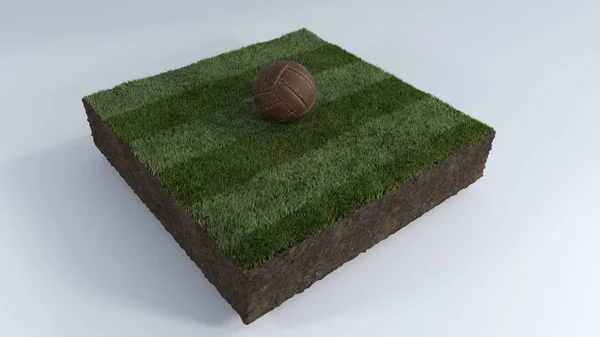 3D-Fußball auf Rasenfläche — Stockfoto