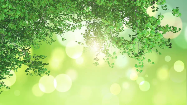 3D leaves looking out to a green bokeh light landscape — Stock Photo, Image