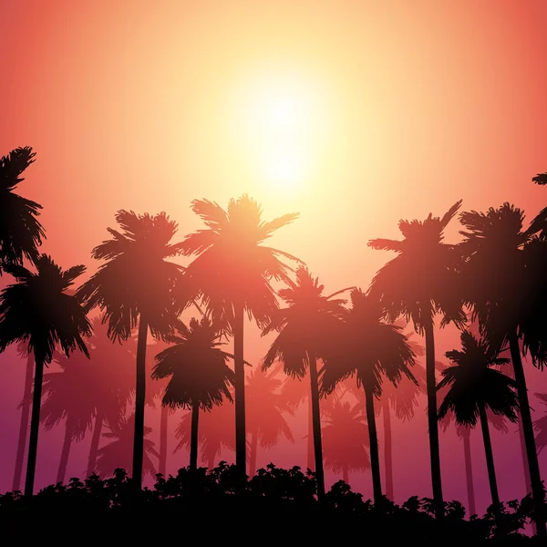 Palm boom landschap tegen zonsondergang hemel — Stockvector