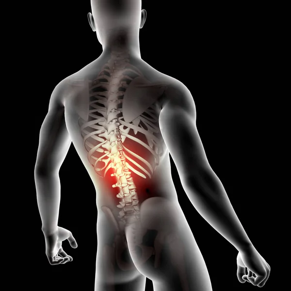 3D manlig medicinsk figur med ryggraden markerad — Stockfoto