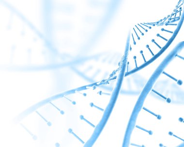 Dna iplikçiklerin ile 3D tıbbi geçmişi