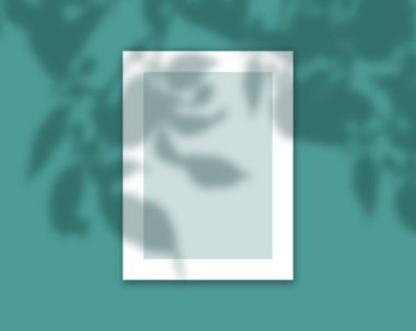 Gölge bindirme ile 3d kitap kapağı alay